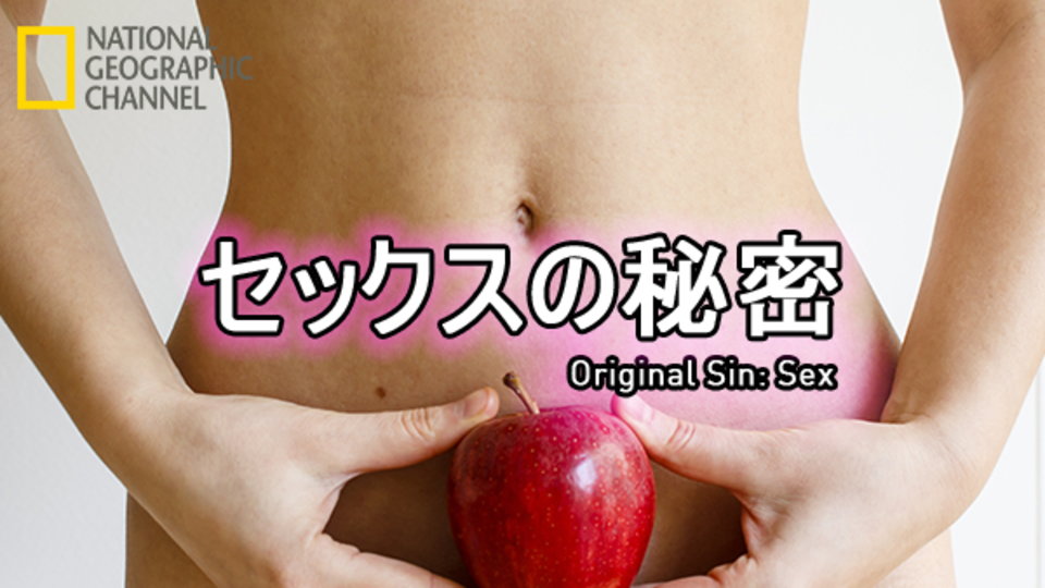 セックスの秘密 のサムネイル画像