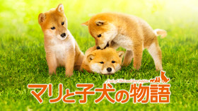 のサムネイル画像