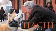 HACHI 約束の犬 のサムネイル画像