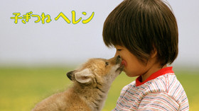 のサムネイル画像