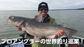 プロアングラーの世界釣り巡業! のサムネイル画像