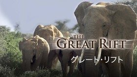 グレート・リフト 〜アフリカの鼓動〜 のサムネイル画像