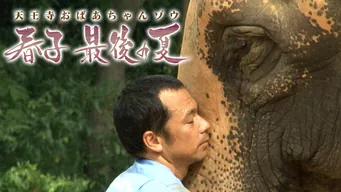 天王寺おばあちゃんゾウ 春子 最後の夏 のサムネイル画像