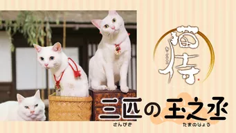 猫侍 三匹の玉之丞 のサムネイル画像