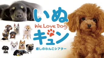 いぬキュン 癒しのわんこシアター のサムネイル画像