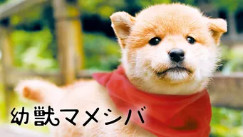 幼獣マメシバ のサムネイル画像