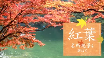 紅葉 名所絶景を訪ねて/映像遺産･ジャパントリビュート のサムネイル画像