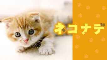 のサムネイル画像