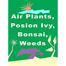 AIR PLANTS, POISON IVY, BONSAI, WEEDS のサムネイル画像