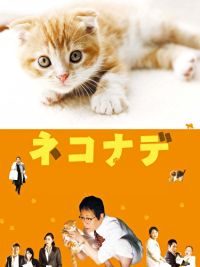 のサムネイル画像