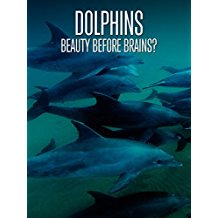 DOLPHINS: BEAUTY BEFORE BRAINS? のサムネイル画像