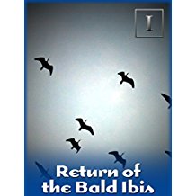 RETURN OF THE BALD IBIS のサムネイル画像