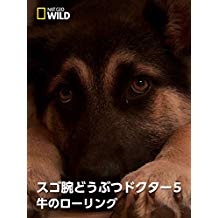 スゴ腕どうぶつドクター5 牛のローリング のサムネイル画像