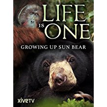 Life is One: Growing Up Sun Bear のサムネイル画像