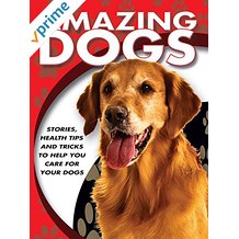 Amazing Dogs のサムネイル画像