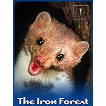 The Iron Forest のサムネイル画像