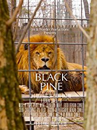 BLACK PINE のサムネイル画像