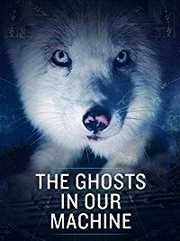 THE GHOSTS IN OUR MACHINE のサムネイル画像