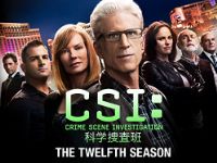 CSI:科学捜査班 シーズン12 のサムネイル画像