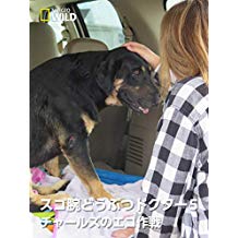 スゴ腕どうぶつドクター5 チャールズのエコ作戦 のサムネイル画像