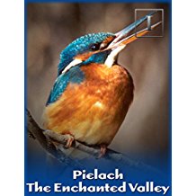 PIELACH - THE ENCHANTED VALLEY のサムネイル画像