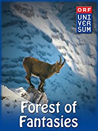 FOREST OF FANTASIES のサムネイル画像