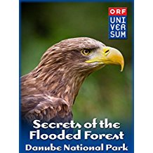 Secrets of the Flooded Forest - Danube National Park のサムネイル画像