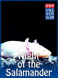 Night of the Salamander のサムネイル画像