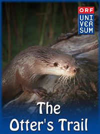 The Otter's Trail のサムネイル画像