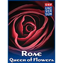 ROSE - QUEEN OF FLOWERS のサムネイル画像