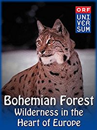BOHEMIAN FOREST - WILDERNESS IN THE HEART OF EUROPE のサムネイル画像