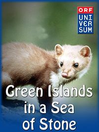 GREEN ISLANDS IN A SEA OF STONE のサムネイル画像