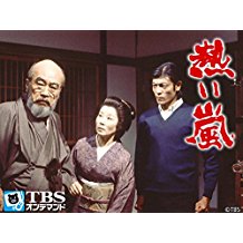 熱い嵐 のサムネイル画像