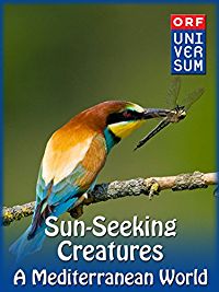 Sun-Seeking Creatures - A Mediterranean World のサムネイル画像
