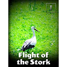 FLIGHT OF THE STORK のサムネイル画像