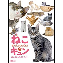 ねこキュン 癒しのにゃんこシアター のサムネイル画像