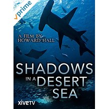 Shadows in a Desert Sea: A Film by Howard Hall のサムネイル画像
