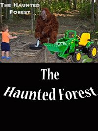 LITTLE HEROES- THE HAUNTED FOREST WITH BIG FOOT AND LITTLE HEROES のサムネイル画像