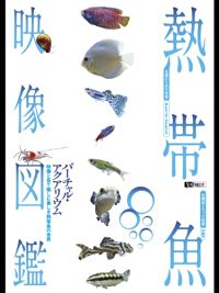 シンフォレスト 熱帯魚映像図鑑 バーチャル・アクアリウム のサムネイル画像