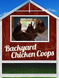 BACKYARD CHICKEN COOPS のサムネイル画像