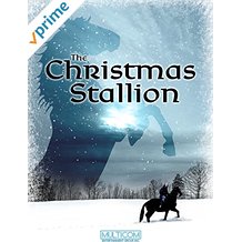 The Christmas Stallion のサムネイル画像