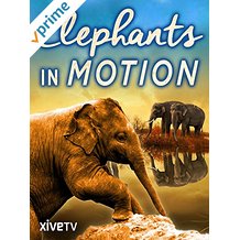 ELEPHANTS IN MOTION のサムネイル画像