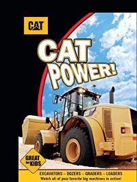 CAT POWER のサムネイル画像