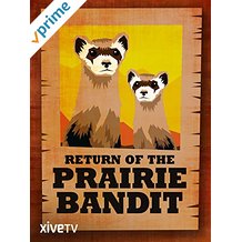 RETURN OF THE PRAIRIE BANDIT のサムネイル画像