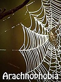 ARACHNOPHOBIA のサムネイル画像