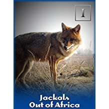Jackals - Out of Africa のサムネイル画像