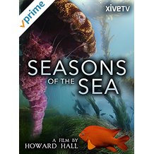 SEASONS OF THE SEA: A FILM BY HOWARD HALL のサムネイル画像