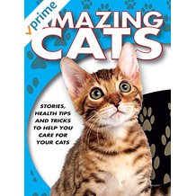 Amazing Cats のサムネイル画像
