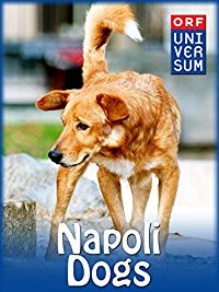 NAPOLI DOGS のサムネイル画像