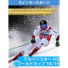 アルペンスキー FIS ワールドカップ 18/19 男子 ジャイアントスラローム&スラローム ザールバッハ/オーストリア のサムネイル画像